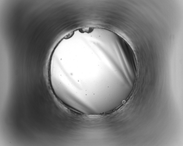 X0000096961152200802221337