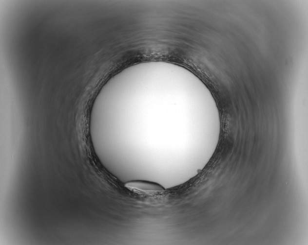 X0000096961153200802221336