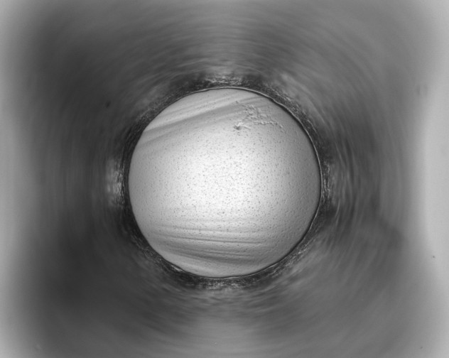 X0000096961154200802221336