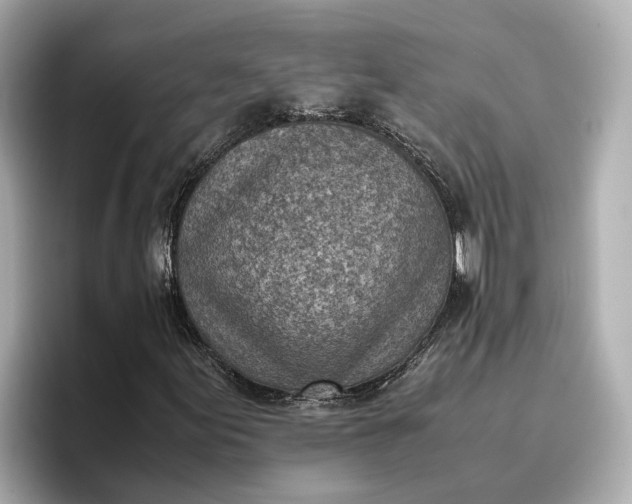 X0000096961155200802221336