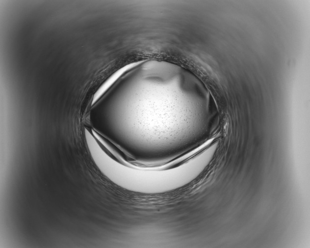 X0000096961156200802221336