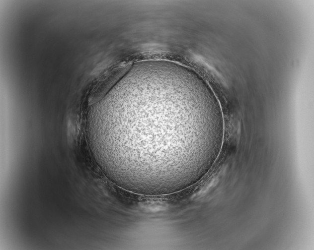 X0000096961157200802221336