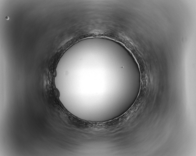 X0000096961158200802221336