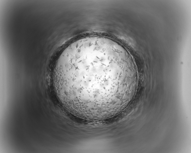 X0000096961159200802221336