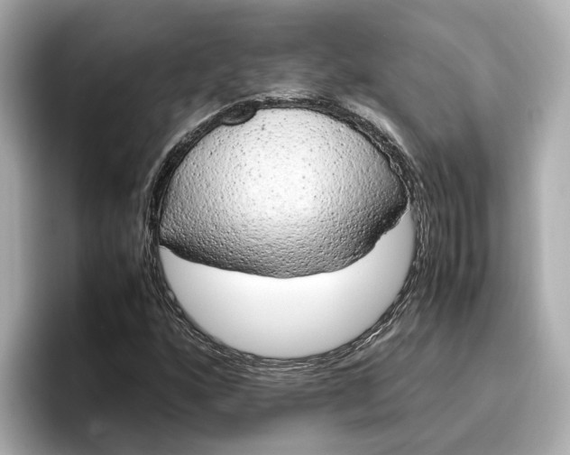 X0000096961160200802221336