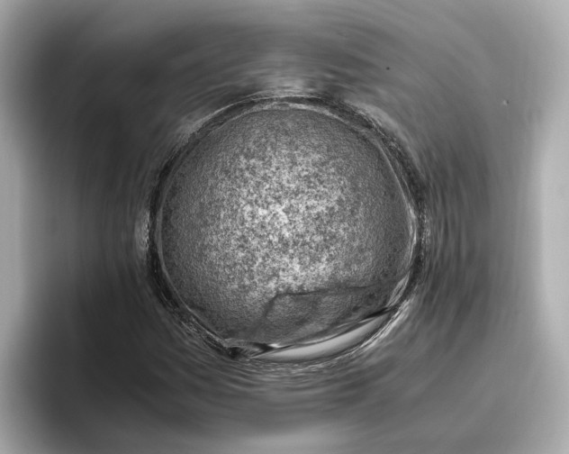 X0000096961161200802221336