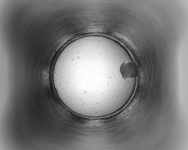 X0000096961162200802221336