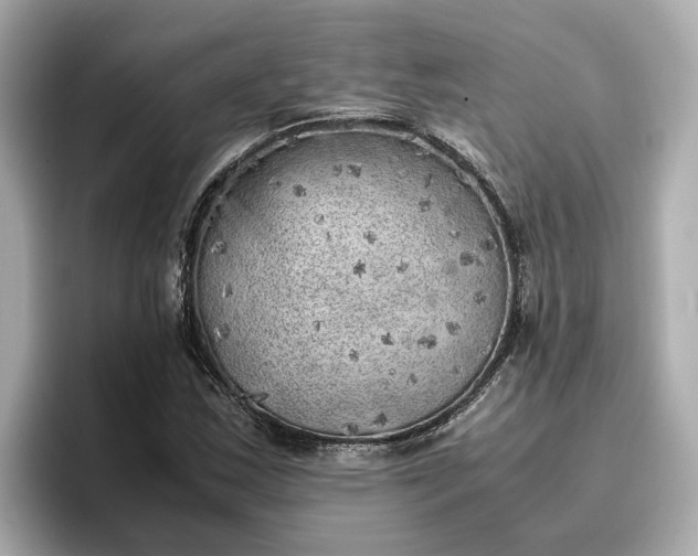 X0000096961163200802221336