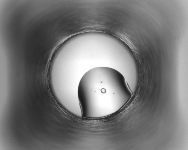 X0000096961164200802221336