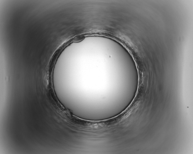 X0000096961165200802221336