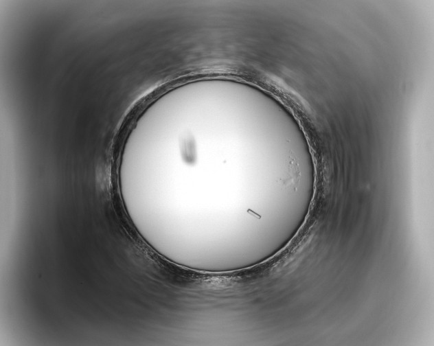 X0000096961166200802221336