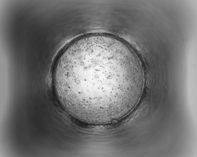 X0000096961167200802221336