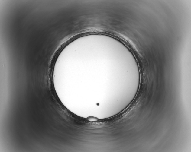 X0000096961168200802221336