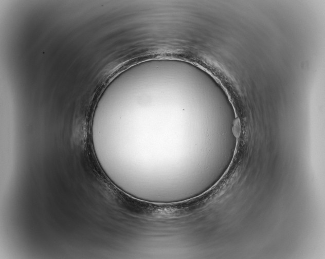 X0000096961169200802221336