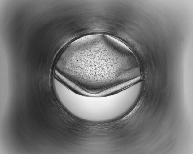 X0000096961170200802221336