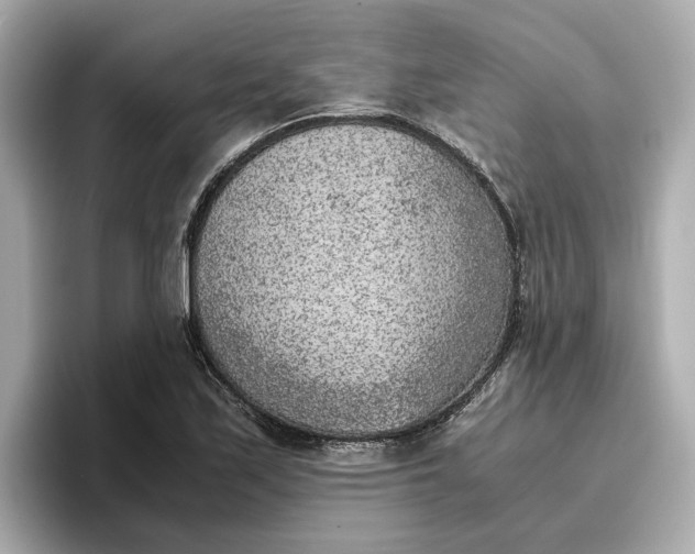 X0000096961171200802221336