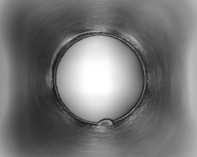 X0000096961172200802221336