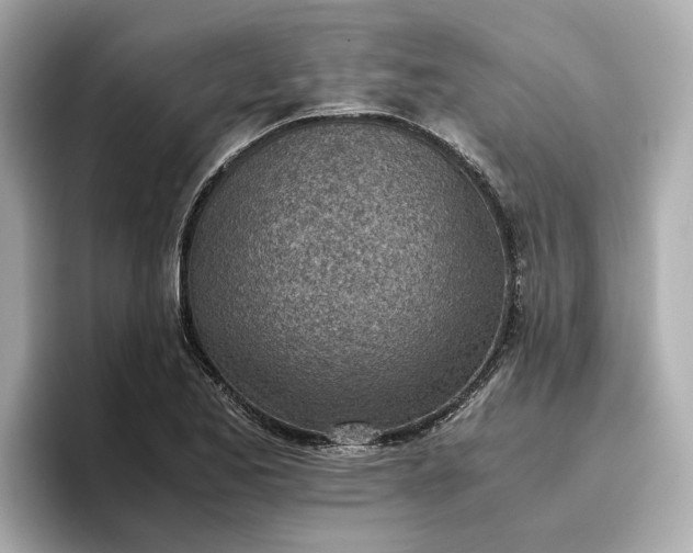 X0000096961173200802221336