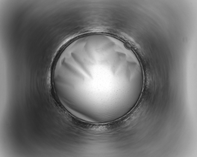 X0000096961174200802221336