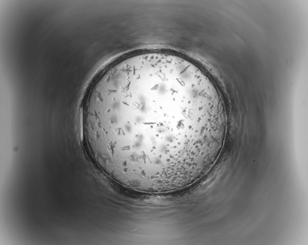 X0000096961175200802221336