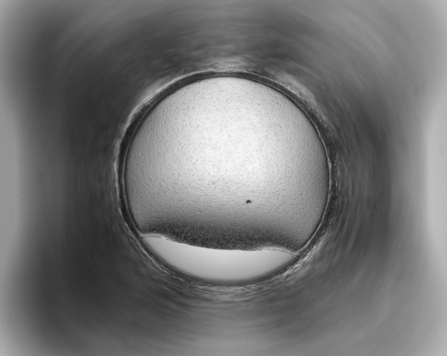 X0000096961176200802221336