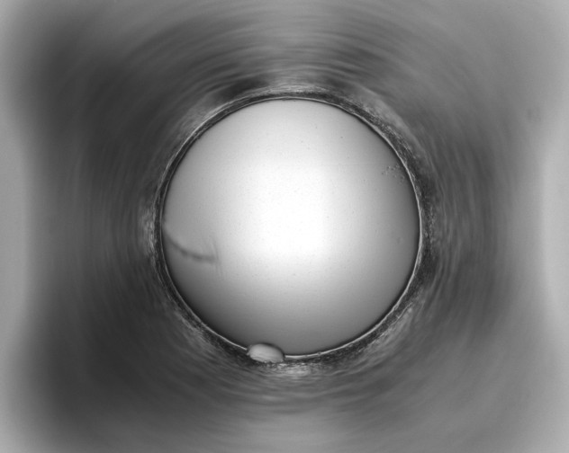 X0000096961177200802221336