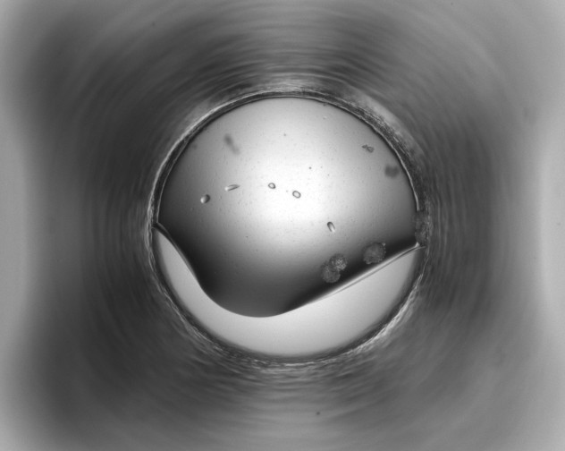 X0000096961178200802221336