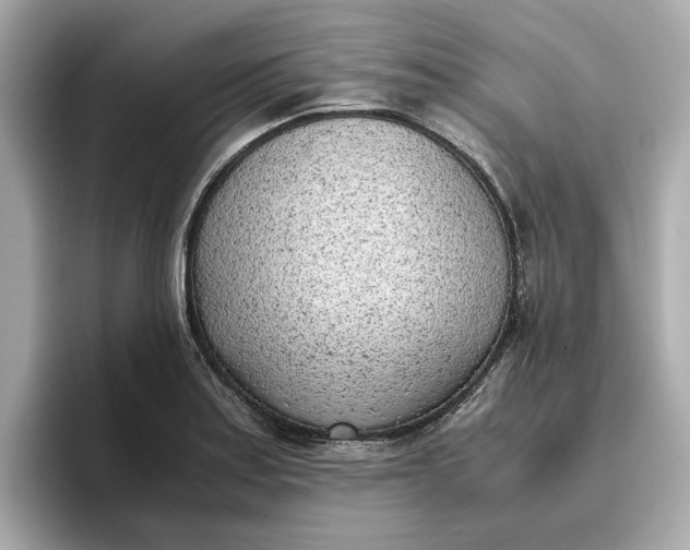 X0000096961179200802221336