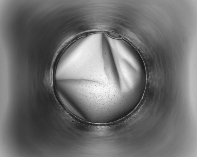 X0000096961180200802221336