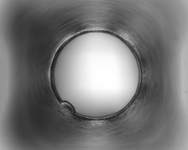 X0000096961181200802221336