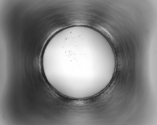 X0000096961182200802221336