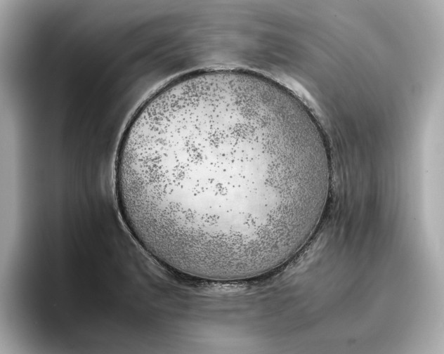 X0000096961183200802221336