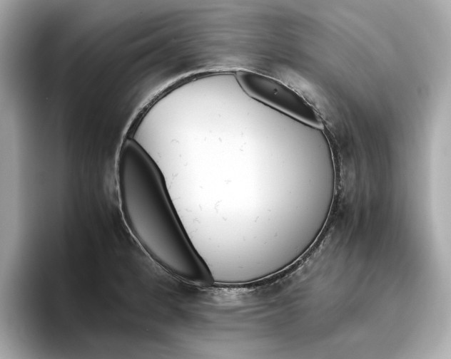 X0000096961184200802221336