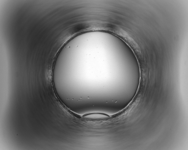 X0000096961185200802221336