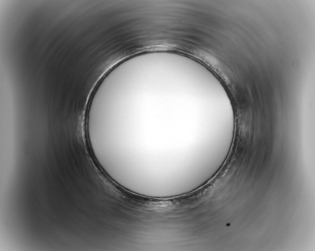 X0000096961186200802221336