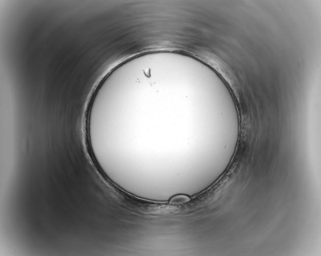 X0000096961187200802221336