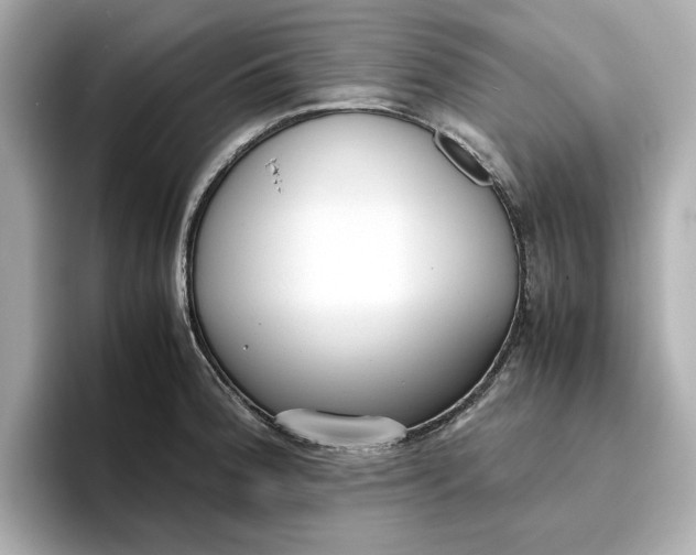 X0000096961188200802221336