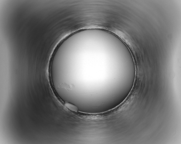 X0000096961189200802221336