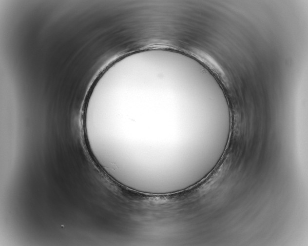 X0000096961190200802221336