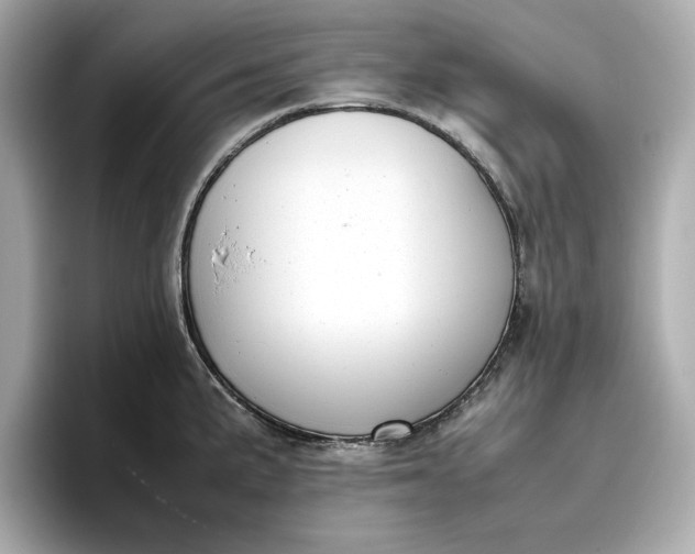 X0000096961191200802221336