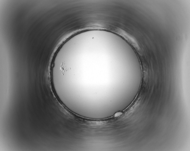 X0000096961192200802221336