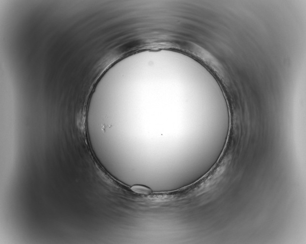 X0000096961193200802221336