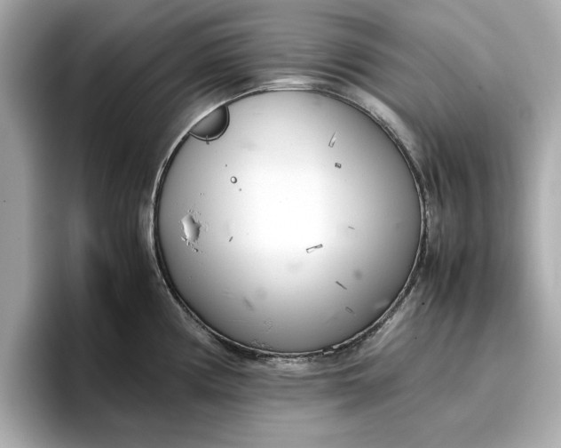 X0000096961194200802221336