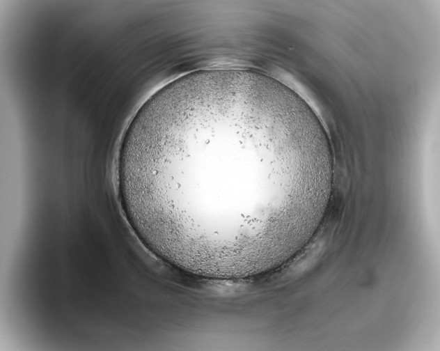 X0000096961195200802221336