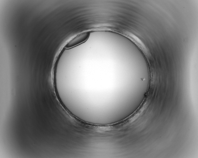 X0000096961196200802221336