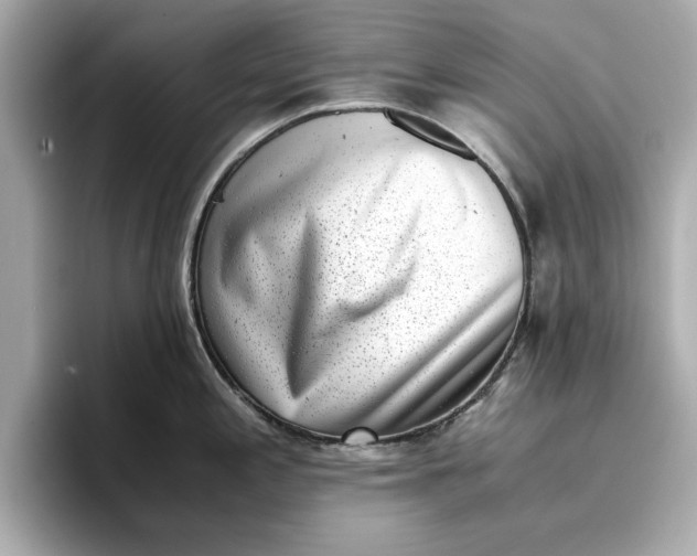 X0000096961197200802221336