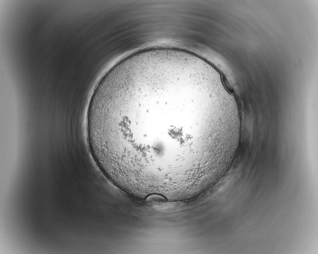 X0000096961199200802221336