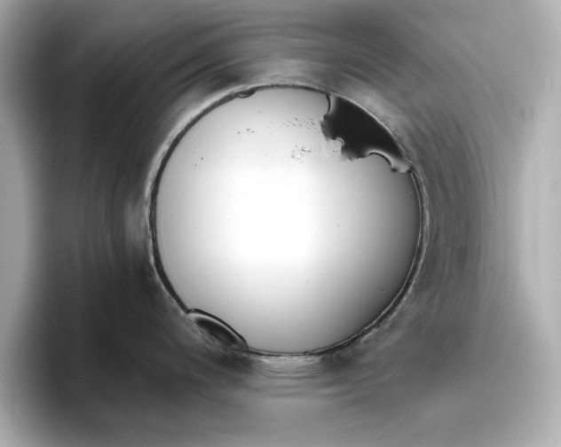 X0000096961200200802221336