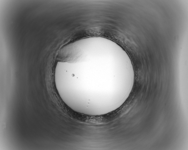 X0000096961201200802221335