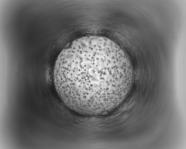 X0000096961202200802221335